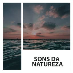 Sons da Natureza: Oceano - Medicina Relaxante
