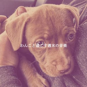 わんこと過ごす週末の音楽 - Bossa Nova Cafe Music