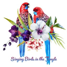 Singing Birds in the Jungle: Tropical Nature Sounds & Exotic Mood Music - Calm Singing Birds Zone