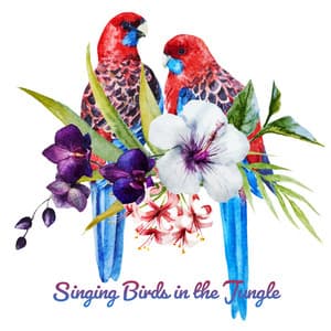Singing Birds in the Jungle: Tropical Nature Sounds & Exotic Mood Music - Calm Singing Birds Zone