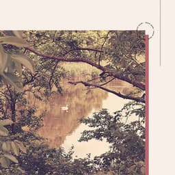 Stellar Jazz Guitar - Background for Refreshing Spring - Música para Estudiar Playlists