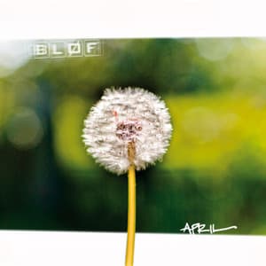 April - BLØF