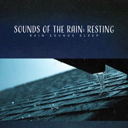 Sounds of the Rain: Resting - Rain Sounds Sleep