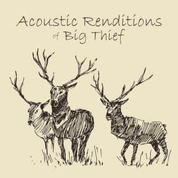 Acoustic Renditions of Big Thief - Guitar Tribute Players