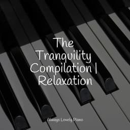 Instant Quiet Listening Music Compilation - Calming Baby Sleep Music Club