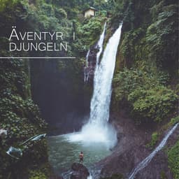Äventyr i djungeln - Avslappning Musik Akademi