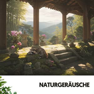 Naturgeräusche: Eine Symphonie der Regengelassenheit - Dog Relaxation