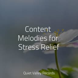 Content Melodies for Stress Relief - Lightning