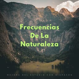 Frecuencias De La Naturaleza: Mejora Del Estudio Con Diapasón - Efectos de sonido de la madre naturaleza