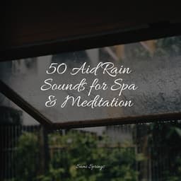 50 Aid Rain Sounds for Spa & Meditation - Nature's Symphony