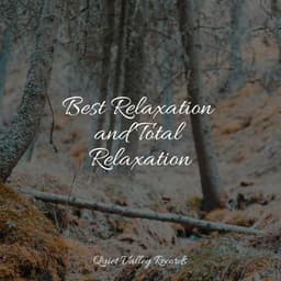 Best Relaxation and Total Relaxation - Weather Sounds
