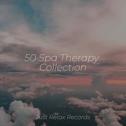 50 Spa Therapy Collection - Musica de Relajación Academy
