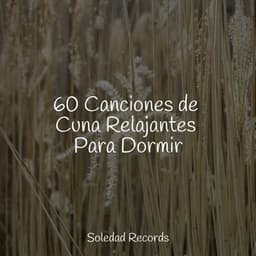 60 Canciones de Cuna Relajantes Para Dormir - Sonidos de la Naturaleza Relax