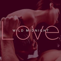 Wild Midnight Love: Love Full of Passion, When Night is Falling - Love Romance Music Zone