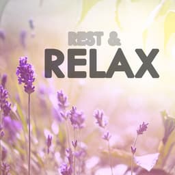 Rest & Relax - Bedtime Songs Collective