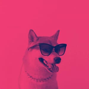 Excellent Music for Doggo Resting - Piano Duo - Good Dog Music