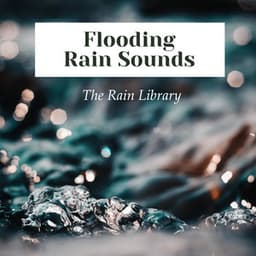 Flooding Rain Sounds - The Rain Library