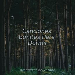 Canciones Bonitas Para Dormir - Instrumental