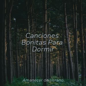 Canciones Bonitas Para Dormir - Instrumental