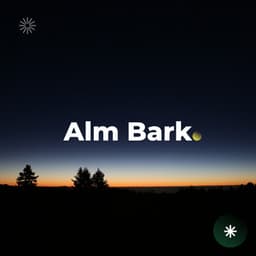 The Silent Horizon - Big Ordo