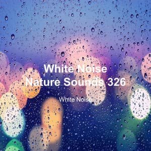 White Noise 326 - White Noise