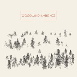 Woodland Ambience: Forest Sounds - Forest Hills Music Universe