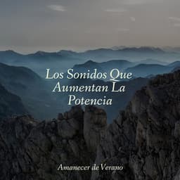 Los Sonidos Que Aumentan La Potencia - MÚSICA PARA NIÑOS