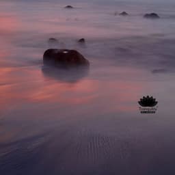 Chamber of Slow Dawn - Tranquility Spa Universe