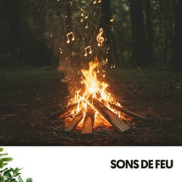 Sons de Feu: Braises de l'Au-Delà - Cat Music