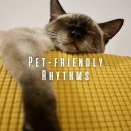 Pet-friendly Rhythms: Theta Waves and Binaural Rain Harmony - Lightning Thunder and Rain Storm