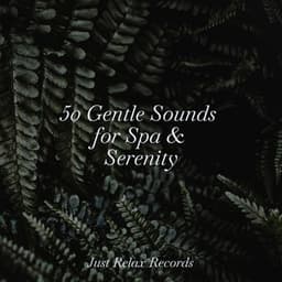 50 Gentle Sounds for Spa & Serenity - Yoga Music