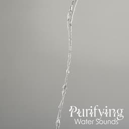 Purifying Water Sounds - Jardim Zen
