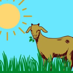 Terrific Bossa Guitar Trio - Ambiance for Lush Tunes - Dreamtime Music