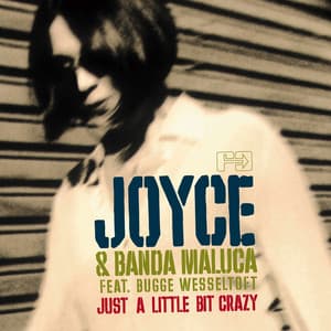 Just a Little Bit Crazy - Joyce Moreno