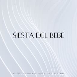 Estática Somnolienta: Ruido Blanco Para La Siesta Del Bebé - Ayuda para dormir White Noise Baby