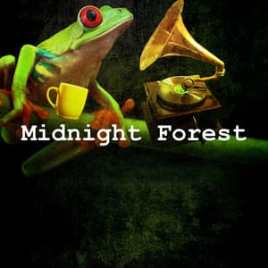 Midnight Forest - Sounds of the Jungle