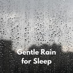 Gentle Rain for Sleep - VDWW