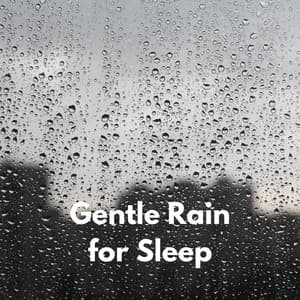 Gentle Rain for Sleep - VDWW