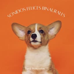 Sonidos Felices Binaurales Para Mascotas - Ritmos Binaurales MT