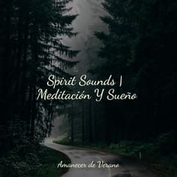 Spirit Sounds | Meditación Y Sueño - Musica para Bebes