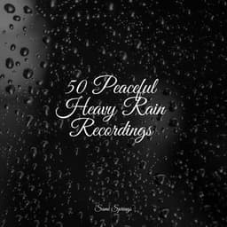 50 Peaceful Heavy Rain Recordings - Kinderlieder Megastars