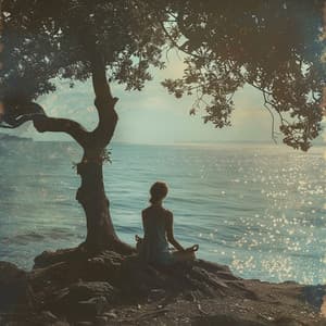 Music for Meditation: Calming Meditation Beats - The Muse Of Meditation