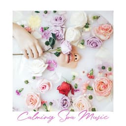 Calming Spa Music - Relaxing Sounds of Nature for Calm and Destress - Sleep System