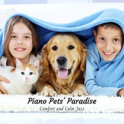 Piano Pets' Paradise: Comfort and Calm Jazz - Piano Jazz Calming Music Academy