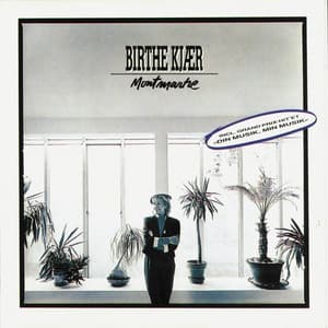 Montmartre - Birthe Kjær