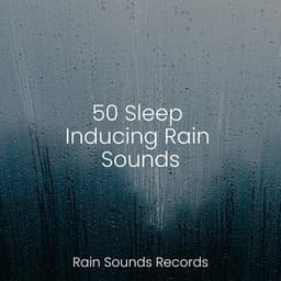 50 Sleep Inducing Rain Sounds - Sonidos De Truenos y Lluvia
