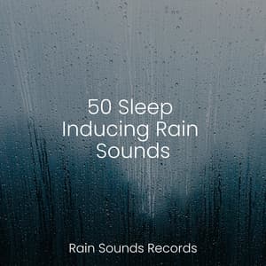 50 Sleep Inducing Rain Sounds - Sonidos De Truenos y Lluvia