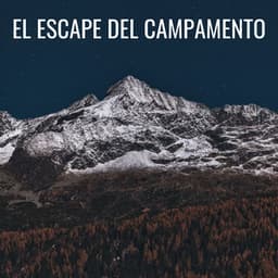 El Escape Del Campamento - Grabaciones de campo de la naturaleza