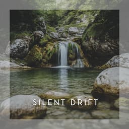 Silent Drift - Baby Shushing