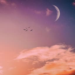 50 Melodic Stories: Ultimate Playlist For Sleep - White Noise for Babies